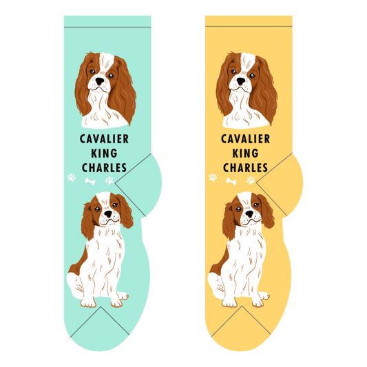 Foozys Crew Socks - Cavalier King Charles