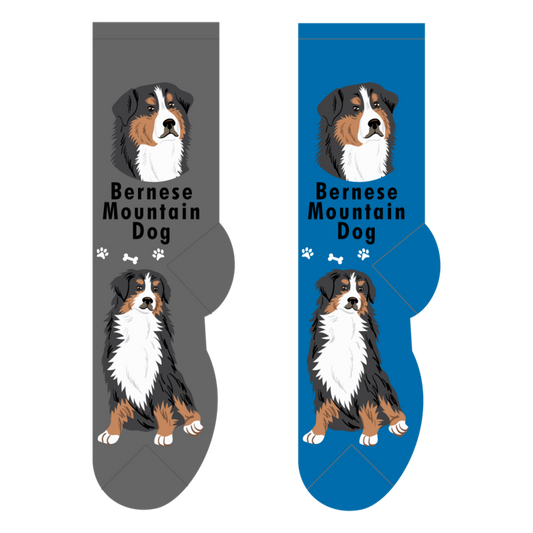 Foozys Crew Socks - Bernese Mountain Dog