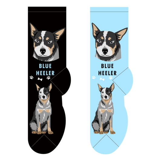 Foozys Crew Socks - Blue Heeler