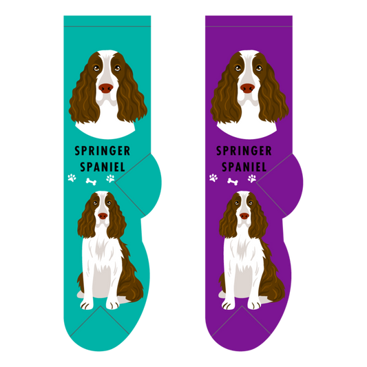 Foozys Crew Socks - Springer Spaniel