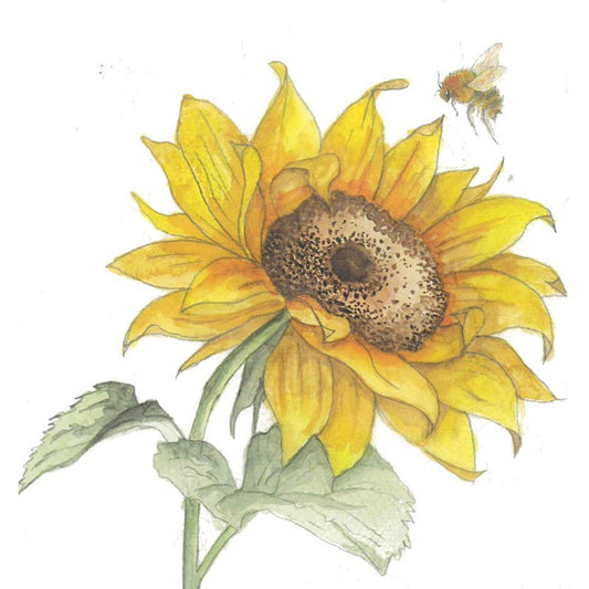 Sunflower Greeting Card