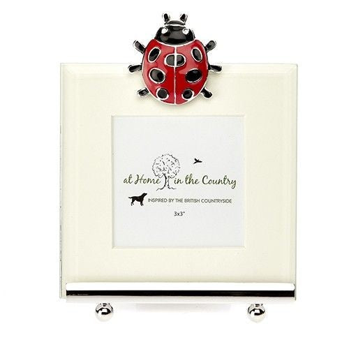 Lady Bug Enamel Photo Frame 7 cm X 7 cm (approx.)