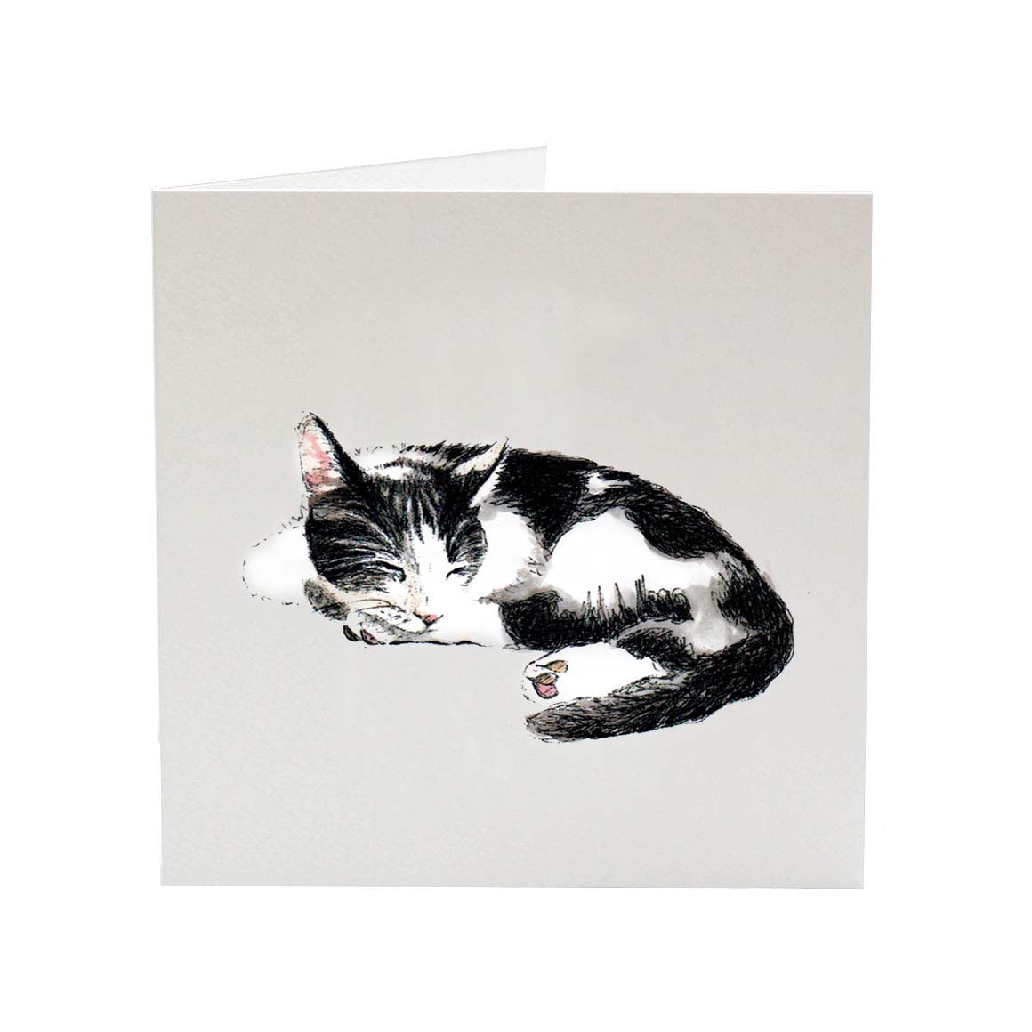 Quince’s Cat Nap | Greeting Card