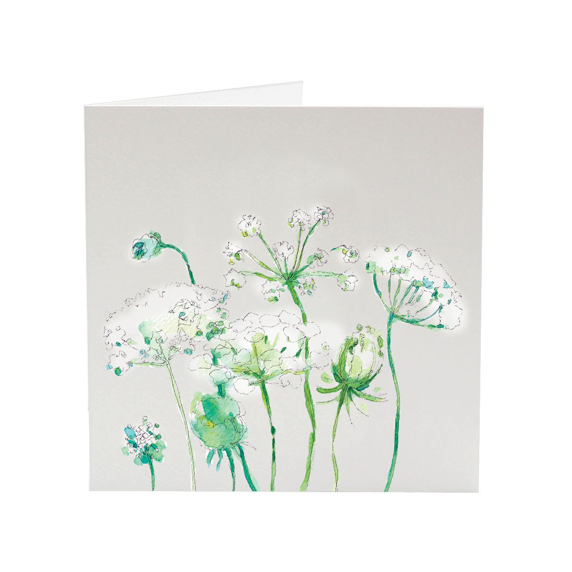 Cow Parsley | Greeting Card