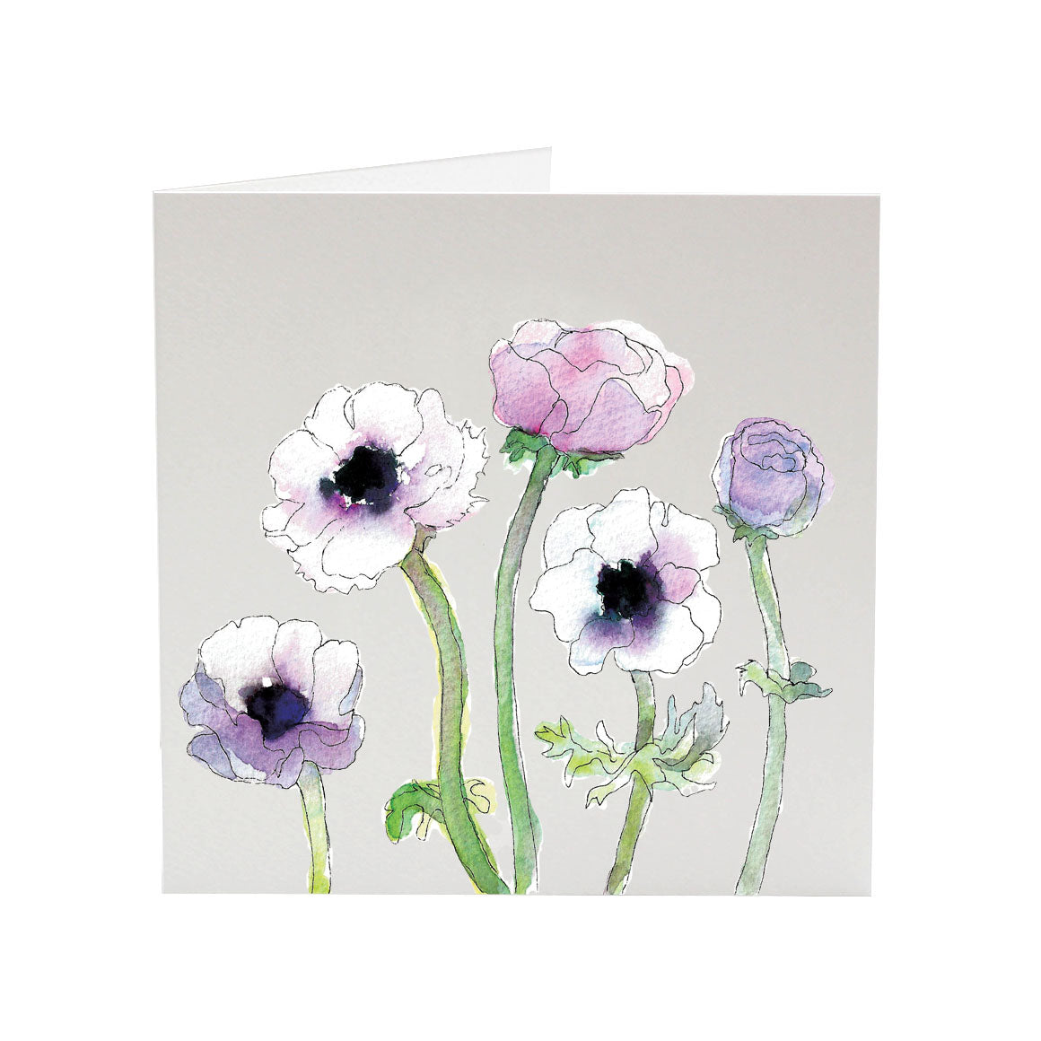 Anemones | Greeting Card