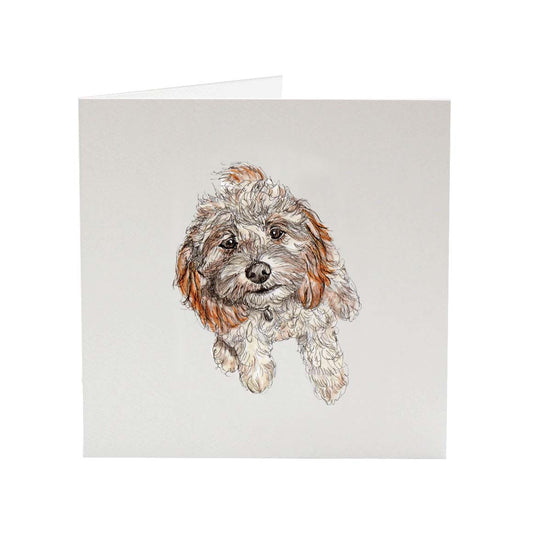 Murphy The Cavapoo | Greeting Card