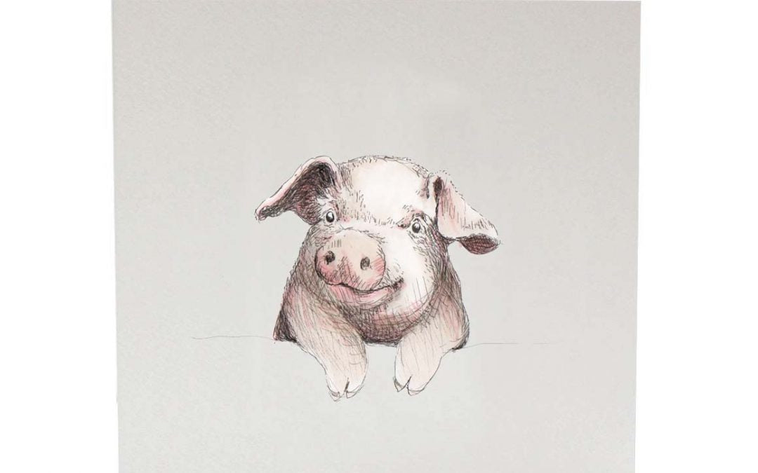 Henri The Pig | Greeting Card