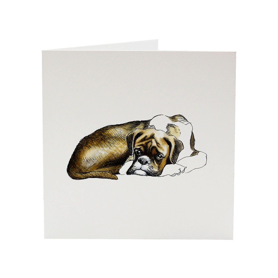 Dolly The Boxer | Greeting Card